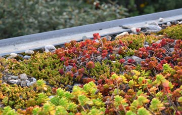 the cost of Easter Boleskine green roof installation